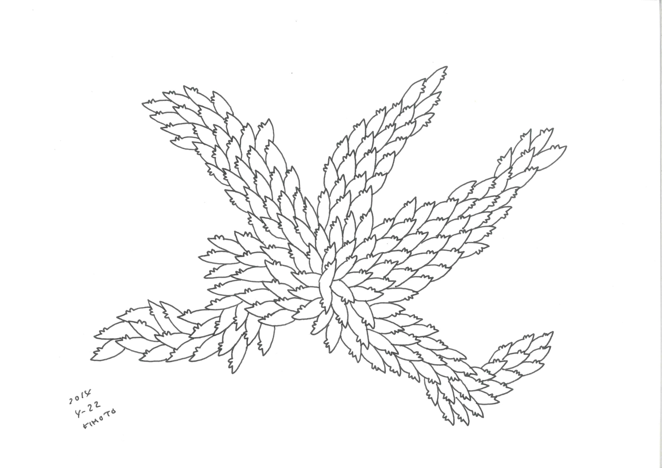 木本博俊作品